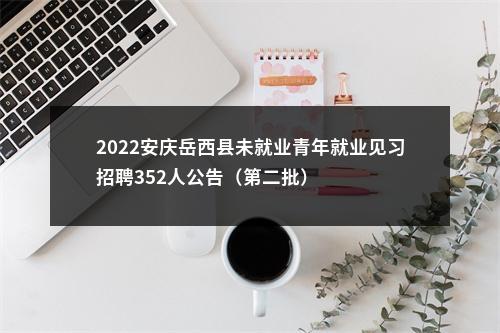 2022安庆岳西县未就业青年就业见习招聘352人公告（第二批） 图片
