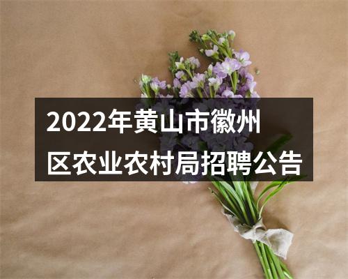 2022年黄山市徽州区农业农村局招聘公告 图片