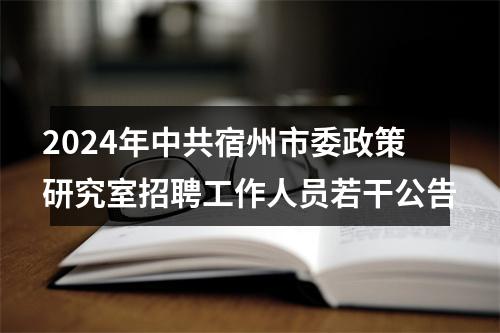 2024年中共宿州市委政策研究室招聘工作人员若干公告 图片