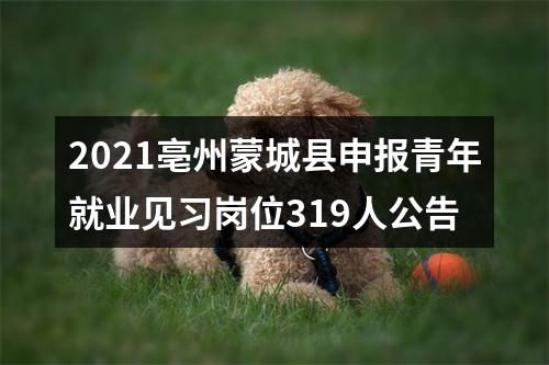 2021亳州蒙城县申报青年就业见习岗位319人公告 图片
