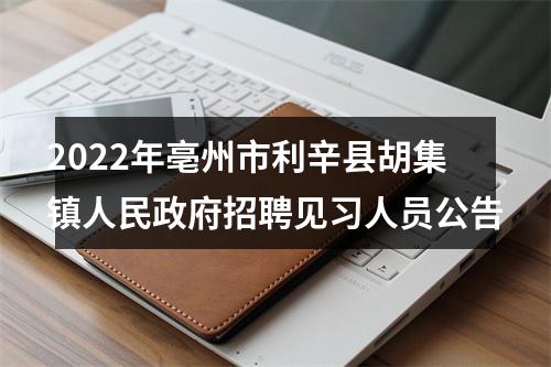2022年亳州市利辛县胡集镇人民政府招聘见习人员公告 图片