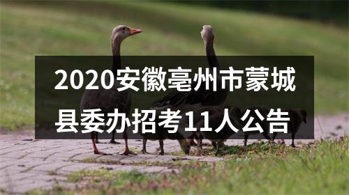 2020安徽亳州市蒙城县委办招考11人公告 图片