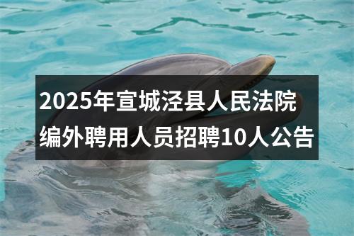 2025年宣城泾县人民法院编外聘用人员招聘10人公告 图片