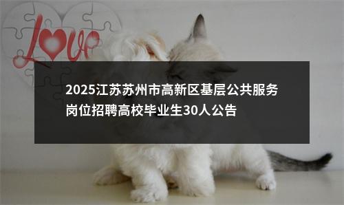 2025江苏苏州市高新区基层公共服务岗位招聘高校毕业生30人公告                进入阅读模式 图片