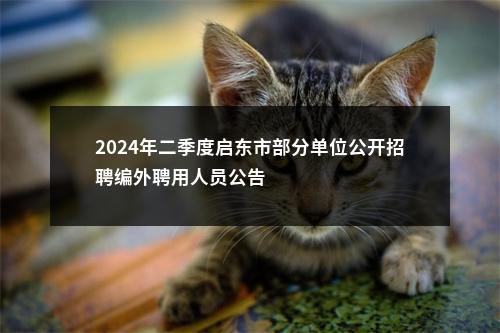 2024年二季度启东市部分单位公开招聘编外聘用人员公告                进入阅读模式 图片