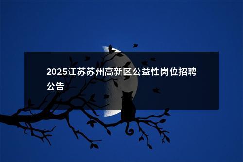 2025江苏苏州高新区公益性岗位招聘公告                进入阅读模式 图片