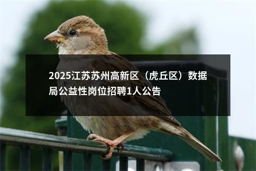 2025江苏苏州高新区（虎丘区）数据局公益性岗位招聘1人公告                进入阅读模式 图片