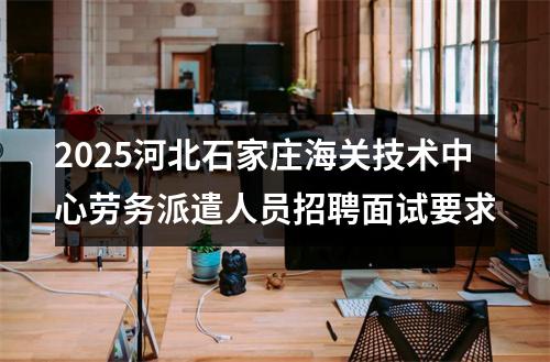 2025河北石家庄海关技术中心劳务派遣人员招聘面试要求 图片
