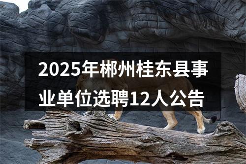 2025年郴州桂东县事业单位选聘12人公告 图片
