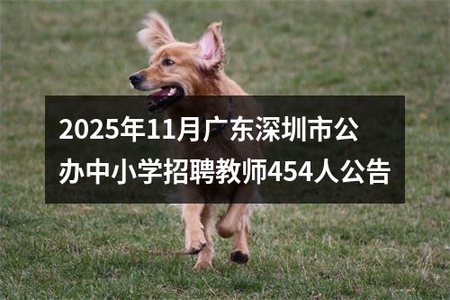 2025年11月广东深圳市公办中小学招聘教师454人公告 图片