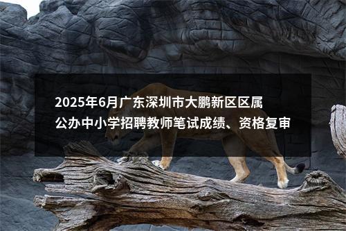 2025年6月广东深圳市大鹏新区区属公办中小学招聘教师笔试成绩、资格复审及面试公告 图片
