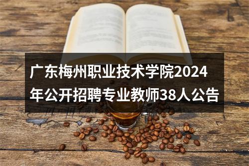 广东梅州职业技术学院2024年公开招聘专业教师38人公告 图片