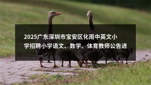 2025广东深圳市宝安区化雨中英文小学招聘小学语文、数学、体育教师公告进入阅读模式 图片