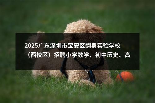 2025广东深圳市宝安区翻身实验学校（西校区）招聘小学数学、初中历史、高中物理等学科教师8人公告进入阅读模式 图片