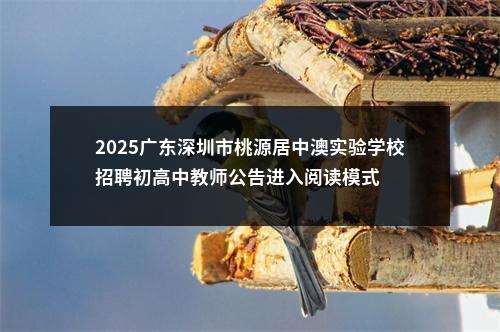 2025广东深圳市桃源居中澳实验学校招聘初高中教师公告进入阅读模式 图片