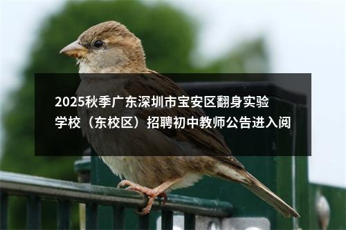2025秋季广东深圳市宝安区翻身实验学校（东校区）招聘初中教师公告进入阅读模式 图片