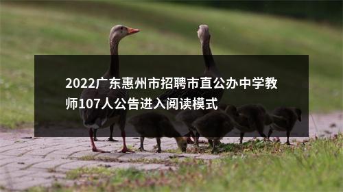 2022广东惠州市招聘市直公办中学教师107人公告进入阅读模式 图片