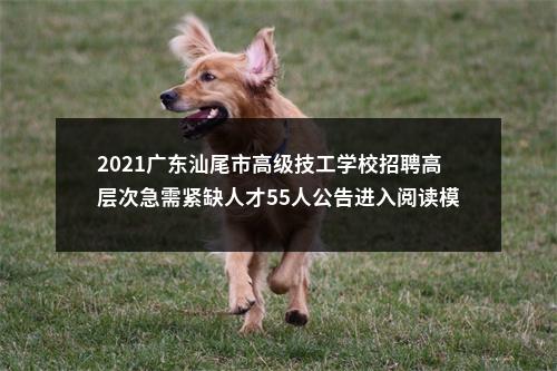 2021广东汕尾市高级技工学校招聘高层次急需紧缺人才55人公告进入阅读模式 图片