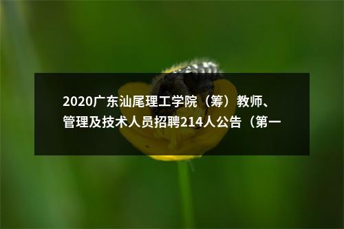 2020广东汕尾理工学院（筹）教师、管理及技术人员招聘214人公告（第一批）进入阅读模式 图片