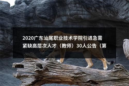 2020广东汕尾职业技术学院引进急需紧缺高层次人才（教师）30人公告（第二批）进入阅读模式 图片