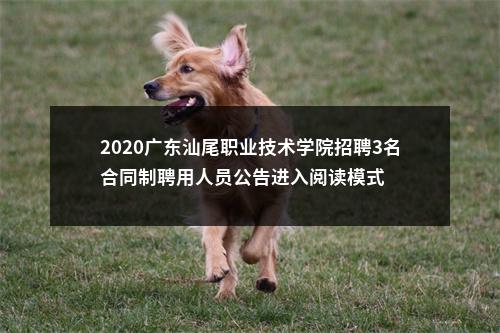 2020广东汕尾职业技术学院招聘3名合同制聘用人员公告进入阅读模式 图片
