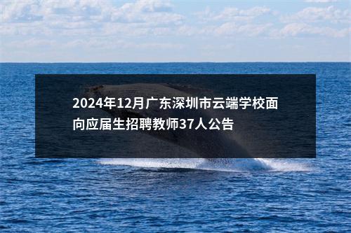 2024年12月广东深圳市云端学校面向应届生招聘教师37人公告 图片