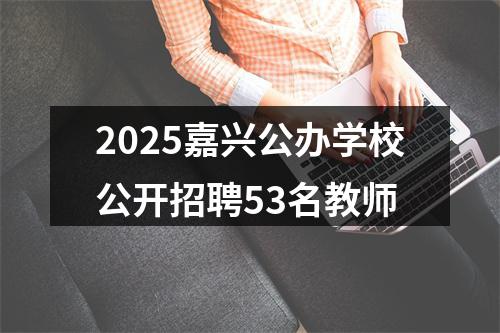 2025嘉兴公办学校公开招聘53名教师 图片