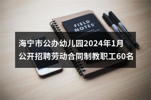 海宁市公办幼儿园2024年1月公开招聘劳动合同制教职工60名 图片