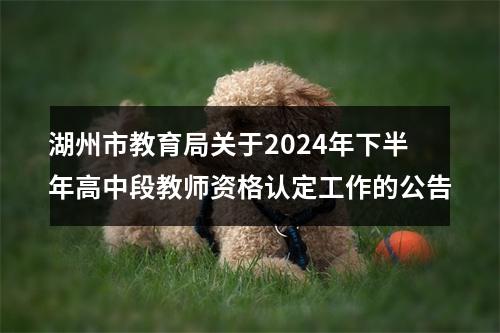 湖州市教育局关于2024年下半年高中段教师资格认定工作的公告 图片