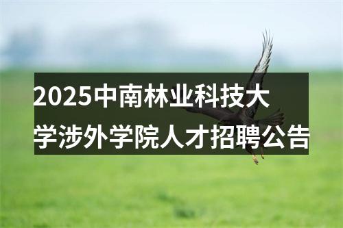 2025中南林业科技大学涉外学院人才招聘公告 图片