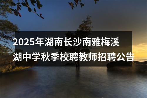 2025年湖南长沙南雅梅溪湖中学秋季校聘教师招聘公告 图片