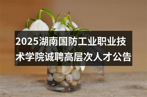 2025湖南国防工业职业技术学院诚聘高层次人才公告 图片
