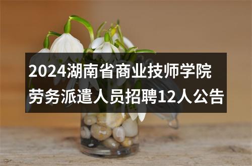 2024湖南省商业技师学院劳务派遣人员招聘12人公告 图片