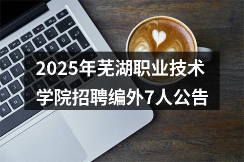 2025年芜湖职业技术学院招聘编外7人公告 图片