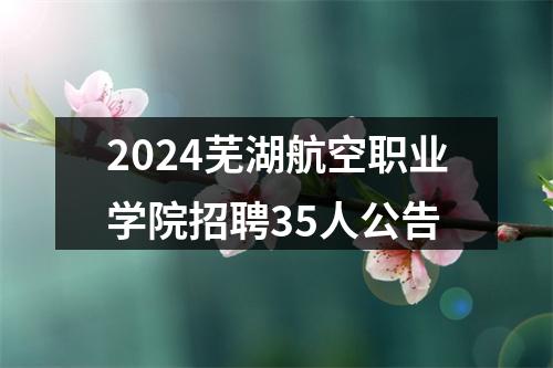 2024芜湖航空职业学院招聘35人公告 图片
