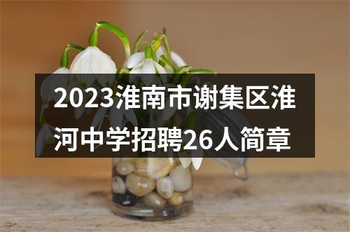 2023淮南市谢集区淮河中学招聘26人简章 图片