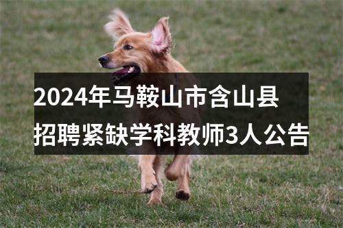 2024年马鞍山市含山县招聘紧缺学科教师3人公告 图片