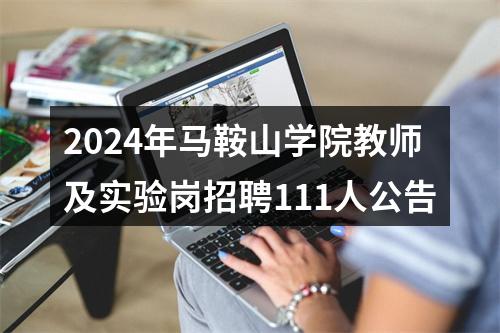 2024年马鞍山学院教师及实验岗招聘111人公告 图片