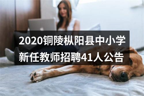 2020铜陵枞阳县中小学新任教师招聘41人公告 图片
