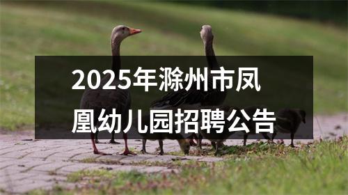 2025年滁州市凤凰幼儿园招聘公告 图片