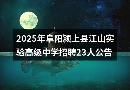 2025年阜阳颍上县江山实验高级中学招聘23人公告 图片