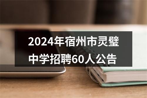 2024年宿州市灵璧中学招聘60人公告 图片