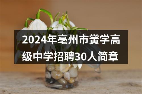 2024年亳州市黉学高级中学招聘30人简章 图片