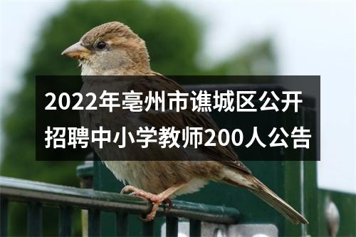 2022年亳州市谯城区公开招聘中小学教师200人公告 图片
