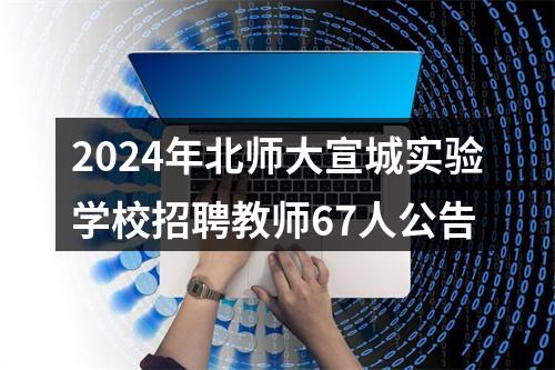 2024年北师大宣城实验学校招聘教师67人公告 图片