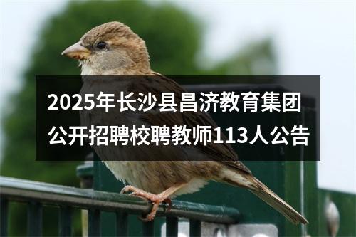 2025年长沙县昌济教育集团公开招聘校聘教师113人公告 图片