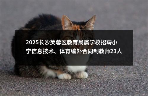2025长沙芙蓉区教育局属学校招聘小学信息技术、体育编外合同制教师23人公告 图片