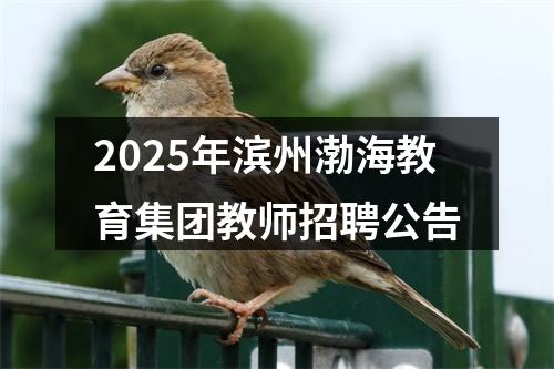 2025年滨州渤海教育集团教师招聘公告 图片