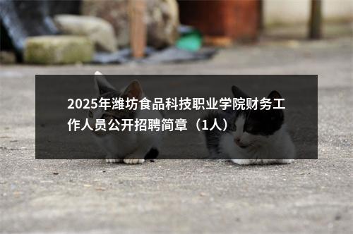 2025年潍坊食品科技职业学院财务工作人员公开招聘简章（1人） 图片