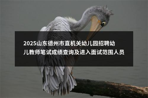 2025山东德州市直机关幼儿园招聘幼儿教师笔试成绩查询及进入面试范围人员名单的公告 图片